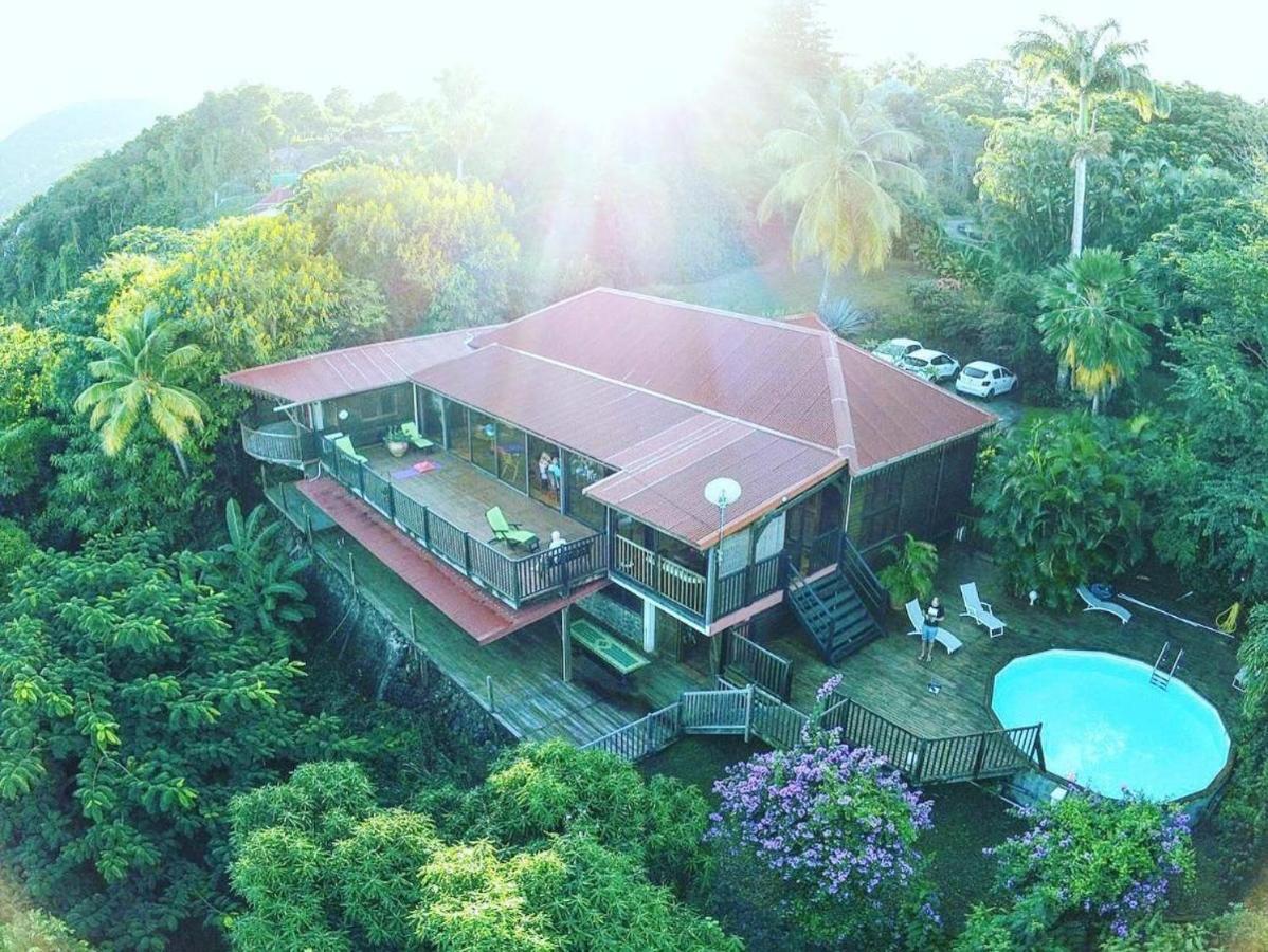 Villa Du Jardin Botanique, Ex. Propriete Coluche Deshaies Exterior photo