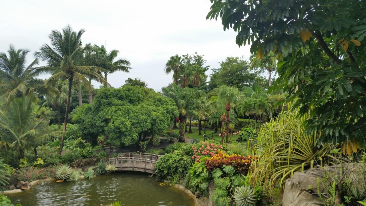 Villa Du Jardin Botanique, Ex. Propriete Coluche Deshaies Exterior photo